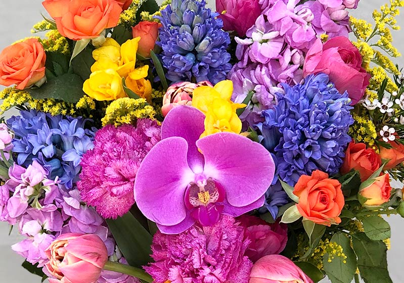 8 Mart Dünya Kadınlar Gününü ‘’İkonik Kadınlar’’ Çiçekleri İle Kutlayın